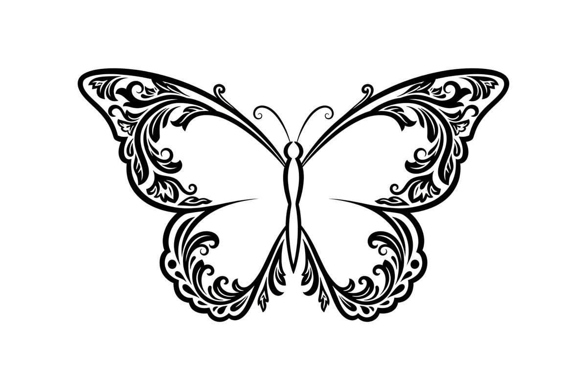 Butterfly Floral Frame SVG Bundle, an Illustration by Creativeshirt (Photo 5 of 31)