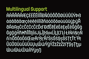 FX Gerundal - Sport Font, a Sans Serif Font by Differentialtype (Thumbnail 10 of 12)