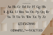 Nebula Mirthful - Modern Serif, a Serif Font by RagamKata (Thumbnail 9 of 10)