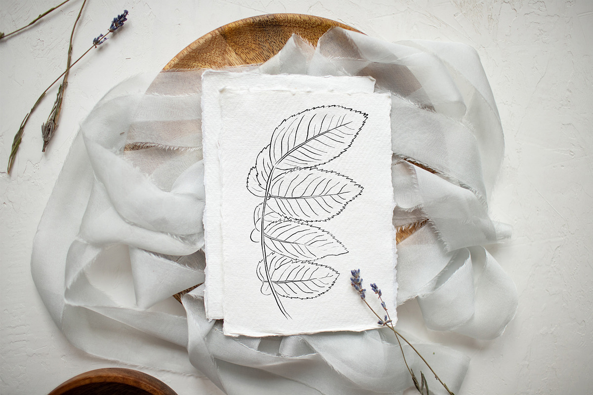 Flowers Line Arts Clipart, an Illustration by natalisart (Photo 5 of 11)