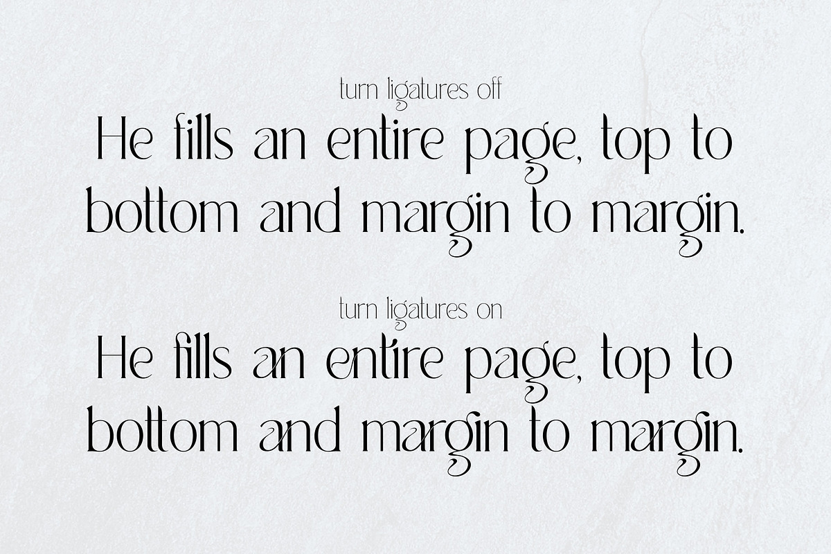 Fountainhead- extra light & regular, a Serif Font by Innire (Photo 7 of 7)