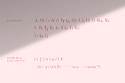 Brokkie | Modern Calligraphy Font, a Script Font by Sumbo Pinheiro (Thumbnail 10 of 12)