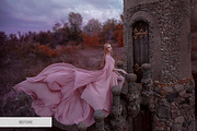 Bird Overlays Photoshop, a Plug-in Add-On by FixThePhoto (Thumbnail 20 of 32)
