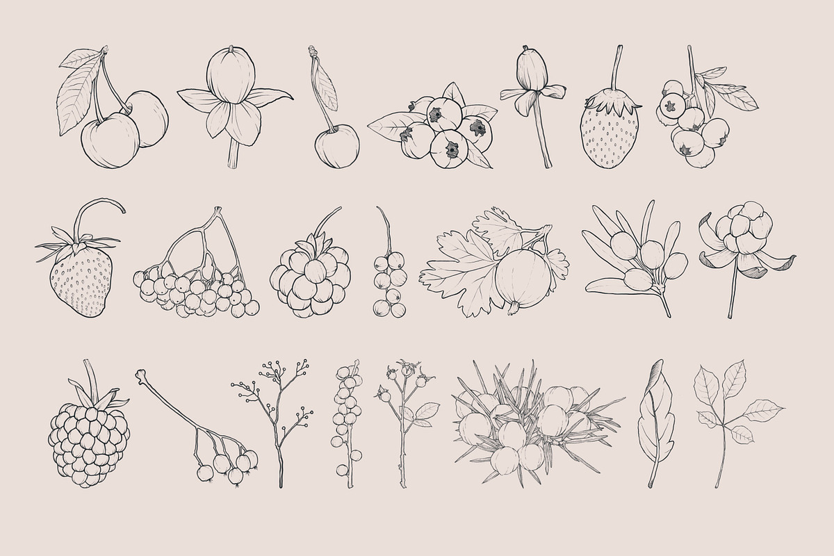Berries Procreate Stamp Brushes, a Brush Add-On by Little Nordic Atelier (Photo 2 of 4)