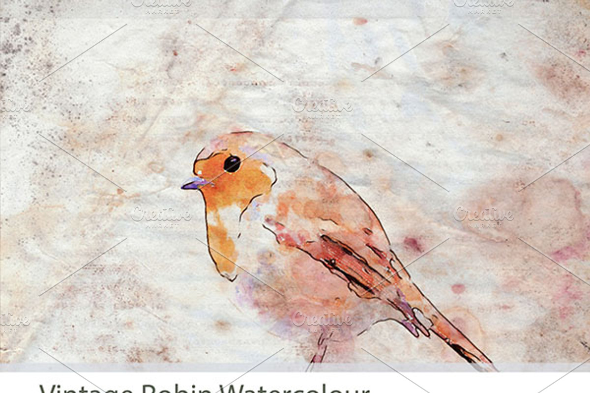 Vintage Robin Watercolour, a Food Illustration by Jennifer Lee Jones (Photo 2 of 5)