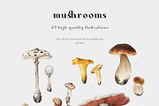 Mushrooms illustrations. Fungi set, a Food Illustration by Diana Askarova Art (Thumbnail 3 of 6)