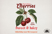 Vintage Fruits Sublimation Bundle, an Object Graphic by GlitterCraft (Thumbnail 4 of 21)