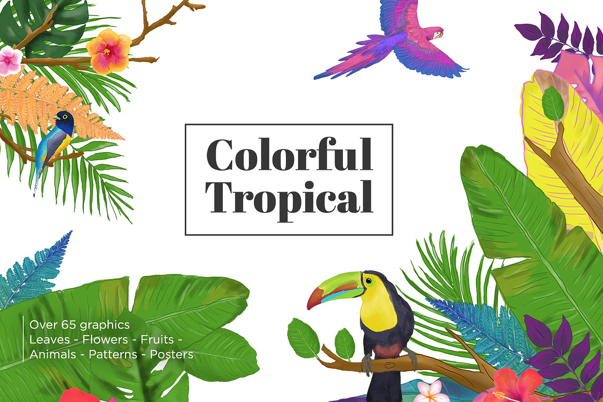 Colorful Tropical Summer Design Set, an Animal Illustration by Def Studio (Photo 1 of 7)