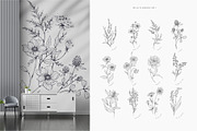 Wildflowers collection, a Decorative Illustration by Merfin (Thumbnail 3 of 11)