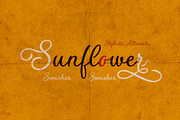 Flores del Sol calligraphic font, a Script Font by Roland Huse Design (Thumbnail 2 of 7)