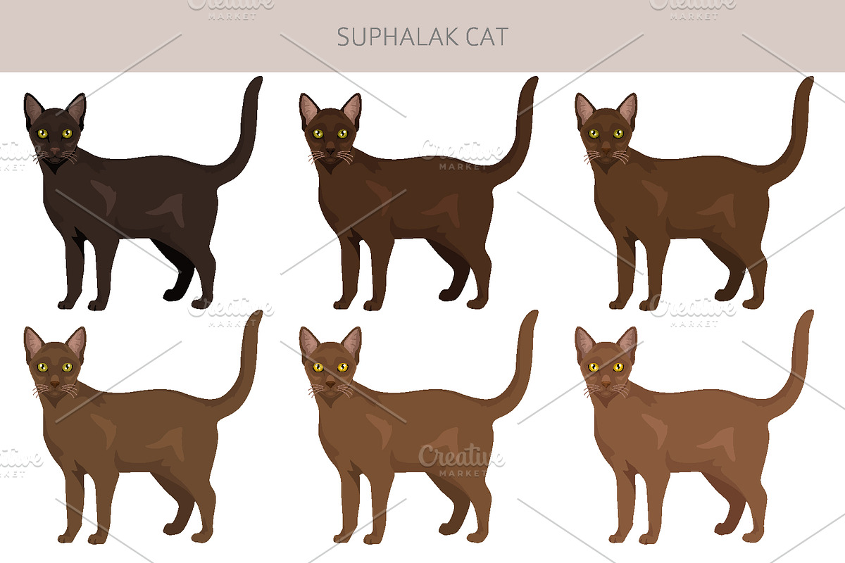 Suphalak cat clipart, an Animal Illustration by pet design shop (Photo 2 of 6)
