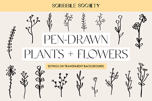 Pen-Drawn Plants and Flowers