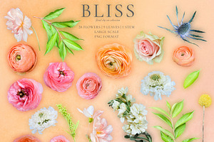 Bliss Floral Clip Art Collection