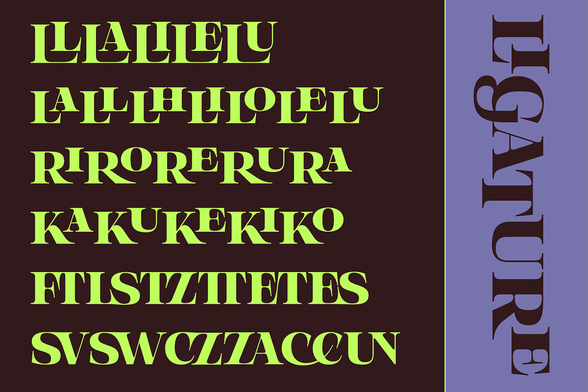 Olivas, a Serif Font by Khoir (Photo 10 of 13)