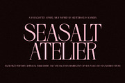 BERBERIS - Display Unique Serif, a Serif Font by Misha Sova (Thumbnail 11 of 14)