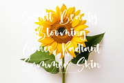 Satisfy Twisted, a Handwritten Font by Integritype Studio (Thumbnail 4 of 15)