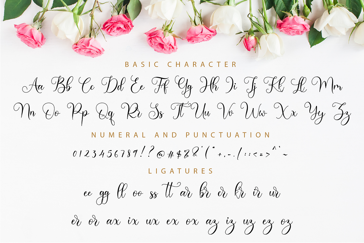 Endenesilia Script, a Script Font by Nissa Studio (Photo 10 of 12)