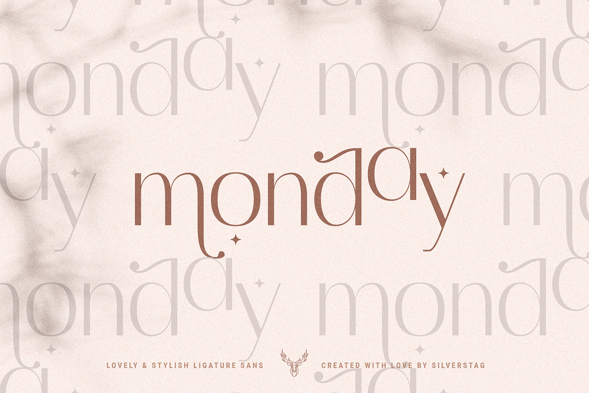 Celine - Chic Ligature Sans & Extras preview 8