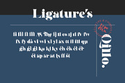 Qillo - Contrast Bold Serif, a Serif Font by Type and Co. (Thumbnail 18 of 20)