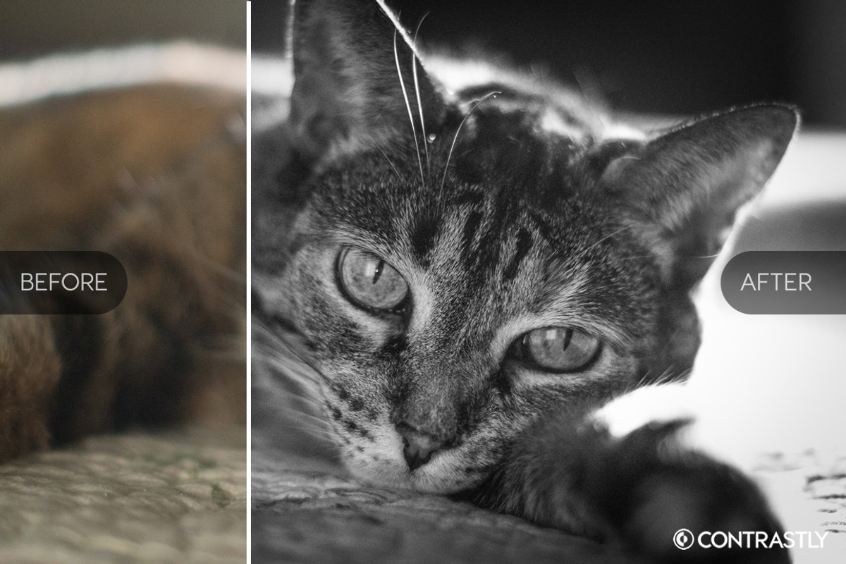 Noir & Blanc Lightroom Presets, an Action Add-On by Contrastly Shop (Photo 2 of 3)