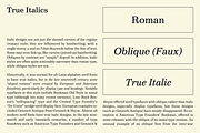 Victorian Orchid, a Serif Font by Dharma Type (Thumbnail 7 of 12)
