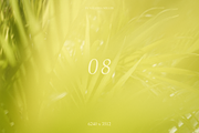10 NATURAL BACKGROUNDS, a Background Photo by Valeriia Miller (Thumbnail 9 of 11)