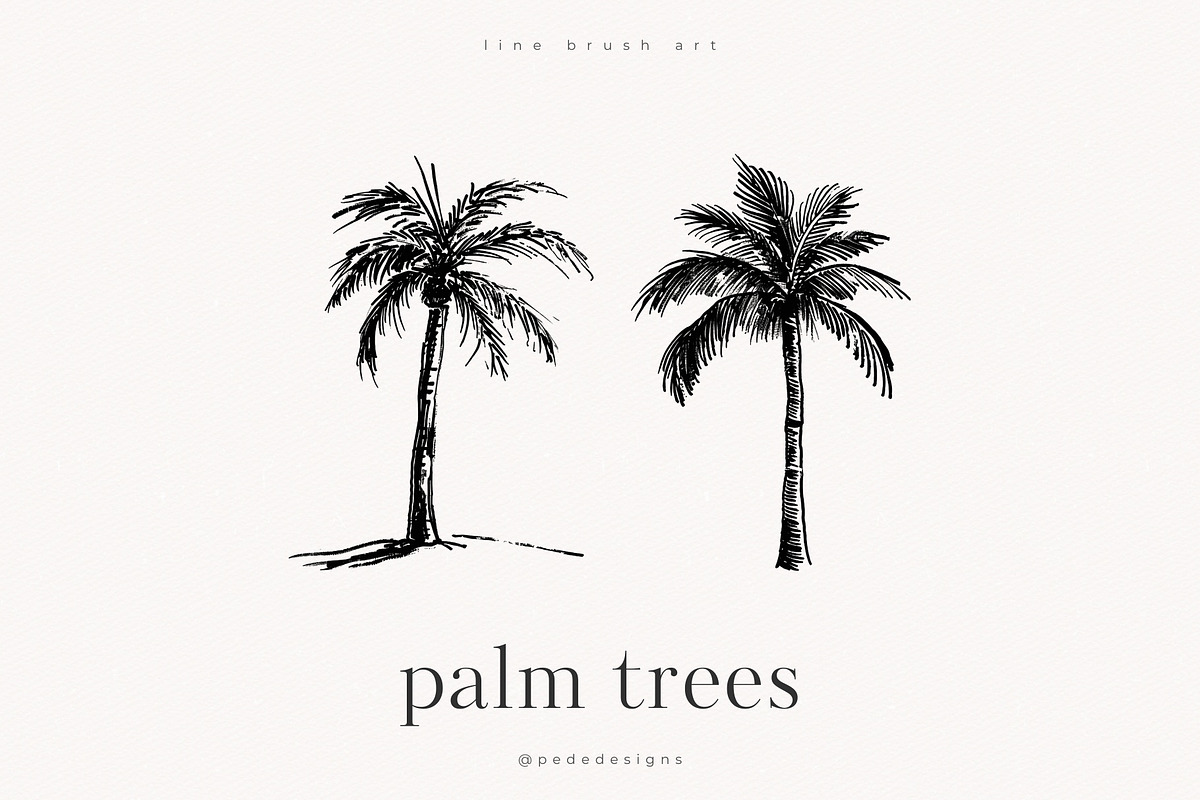 Palm Trees, an Object Illustration by PeDe Designs (Photo 9 of 9)