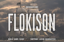 Flokison