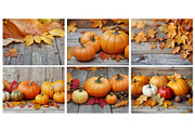 Autumn mood - 23 images, a Nature Photo by Ligrenok Art (Thumbnail 2 of 5)