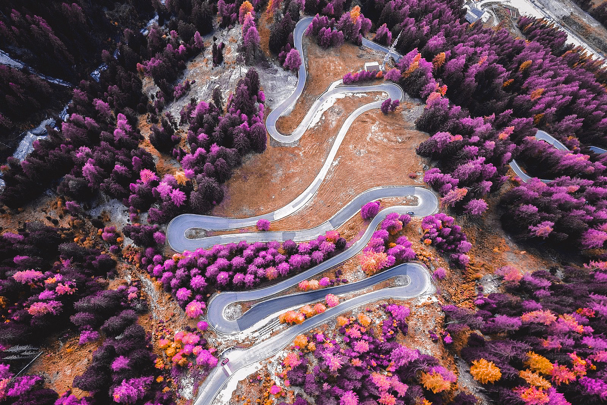 454 Infrared Fantasy Pro LUTs, a Preset Add-On by ShutterPro (Photo 30 of 48)