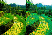 04 Bali Dream Lightroom Presets, a Preset Add-On by RamsaGraphi (Thumbnail 5 of 10)