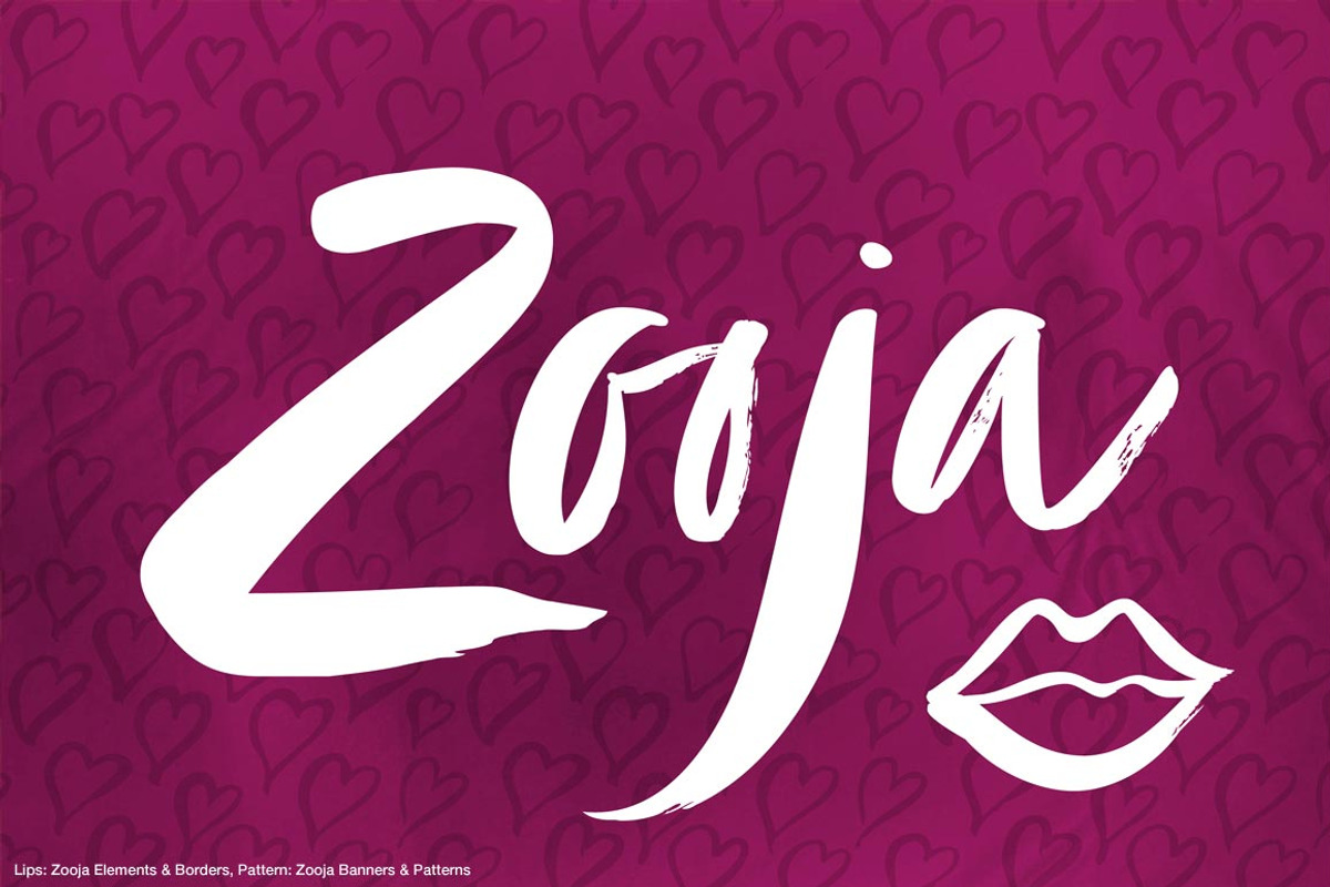 Zooja Script, a Script Font by Aerotype (Photo 17 of 17)