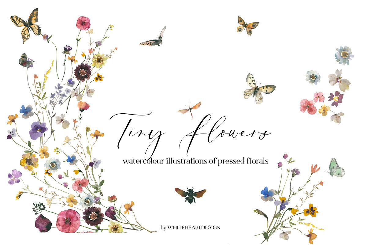 Tiny Flowers Pressed Floral Clipart, an Illustration by whiteheartdesign (Photo 1 of 17)