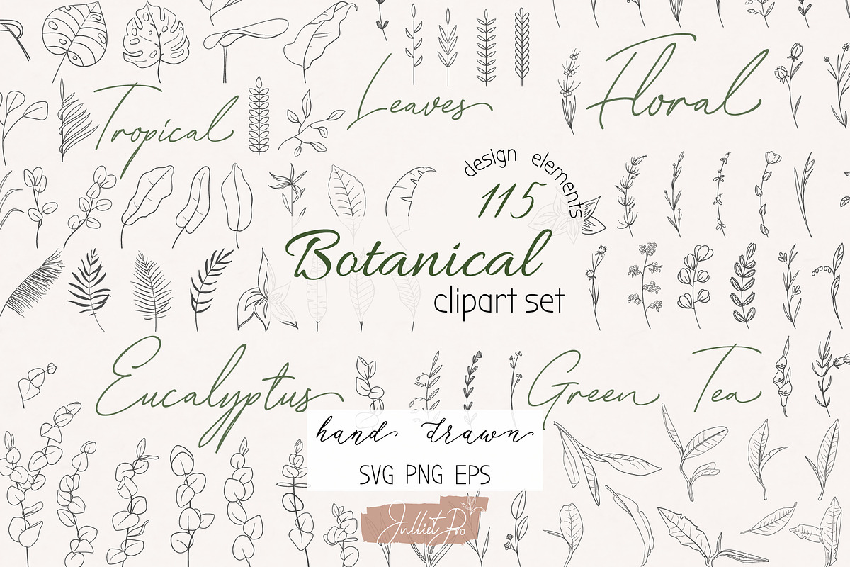 Organic shapes, drawn floral forms, an Object Graphic by JuDesign (Photo 1 of 11)