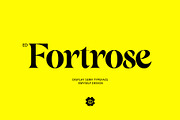 ED Fortrose - Serif Typeface, a Serif Font by Emyself Design (Thumbnail 1 of 10)