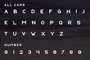Niperia, a Slab Serif Font by lelevien (Thumbnail 3 of 4)