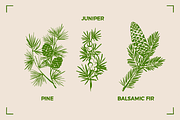 AROMATHERAPY (26 illustrations), a Healthcare Illustration by Bonfloret Studio (Thumbnail 8 of 11)