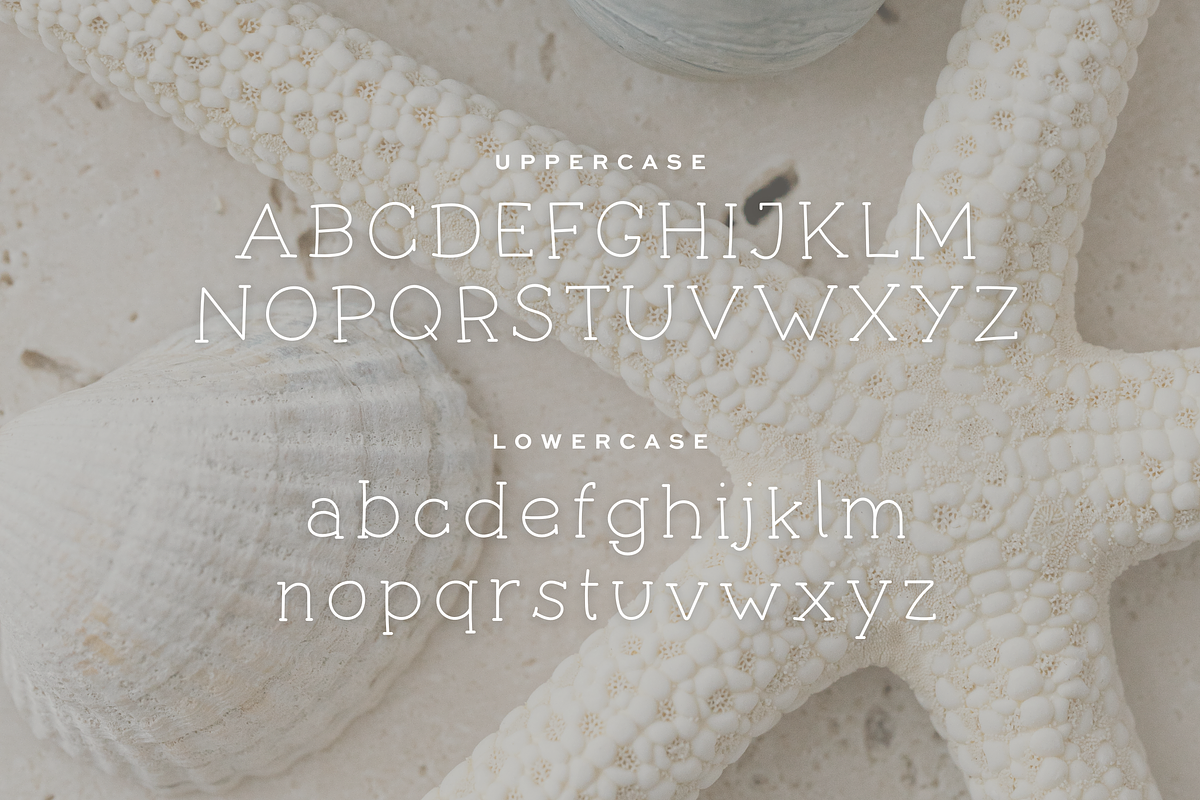 Seashells | A Handwritten Slab, a Slab Serif Font by Vanem Studio (Photo 3 of 9)