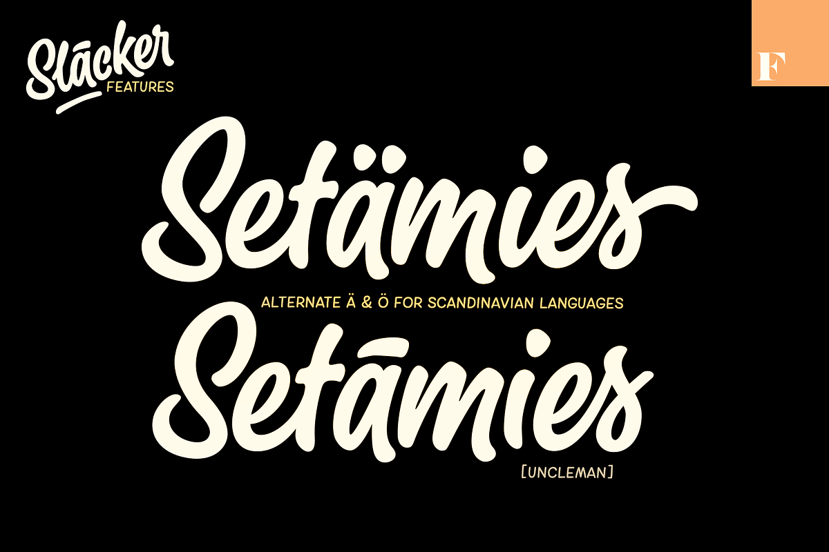 Slacker - a mellow brush script, a Script Font by Fenotype (Photo 9 of 13)
