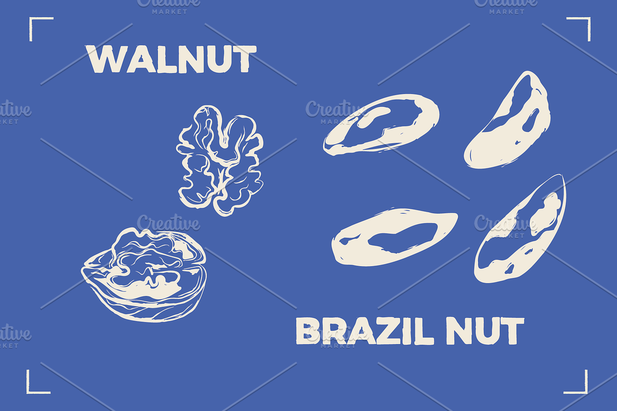 NUTS LINE ART SET (15+ elements), a Food Illustration by Bonfloret Studio (Photo 6 of 10)