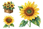 Sunflower Farm Clipart, a Seasonal Illustration by CitraGraphics (Thumbnail 6 of 7)