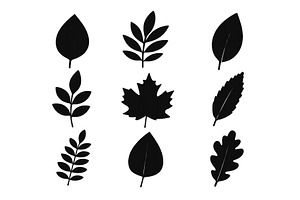 Variety of leaf silhouettes arranged, an Illustration by ZinetroN