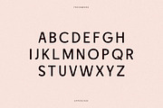 Freshwost Ligatures Sans Serif Font, a Sans Serif Font by Storytype Studio (Thumbnail 15 of 19)