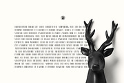 Harold, a Serif Font by Webvilla Studio (Thumbnail 7 of 7)