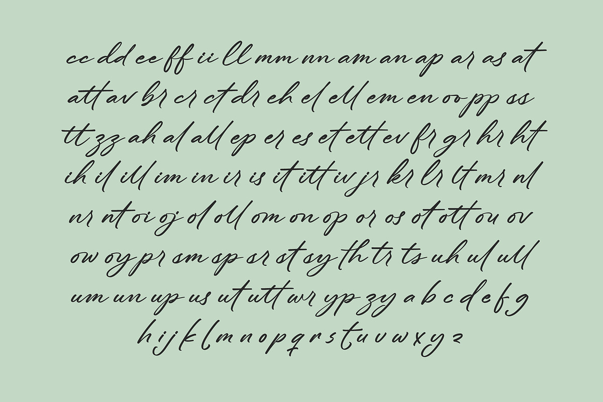 Flowers the Breeze Handwritten Font, a Script Font by Letterena Studios Script (Photo 16 of 20)