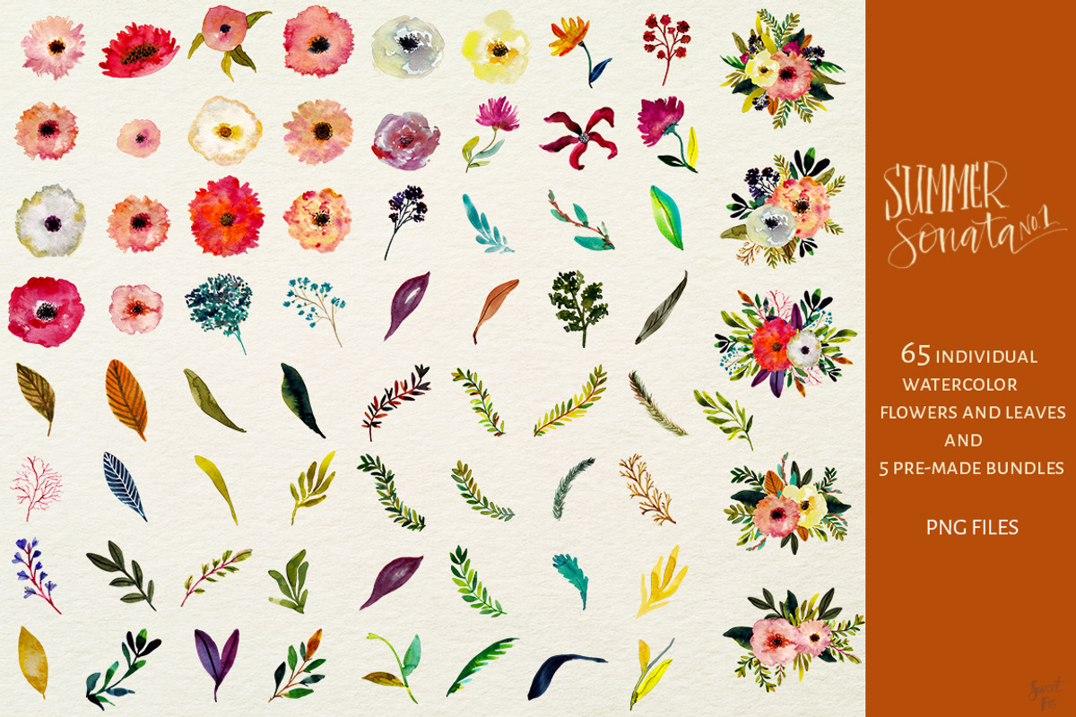 Hand Painted Summer Flowers, an Illustration by Sweet Fig (Photo 3 of 4)