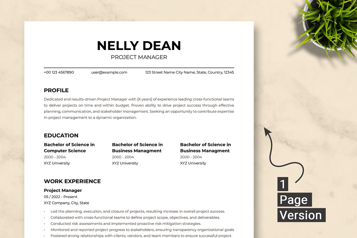 Project Manager Resume Template preview 2