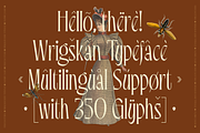 Wrigskan - Luxury Ligature Serif, a Serif Font by Enxyclo Studio (Thumbnail 12 of 15)