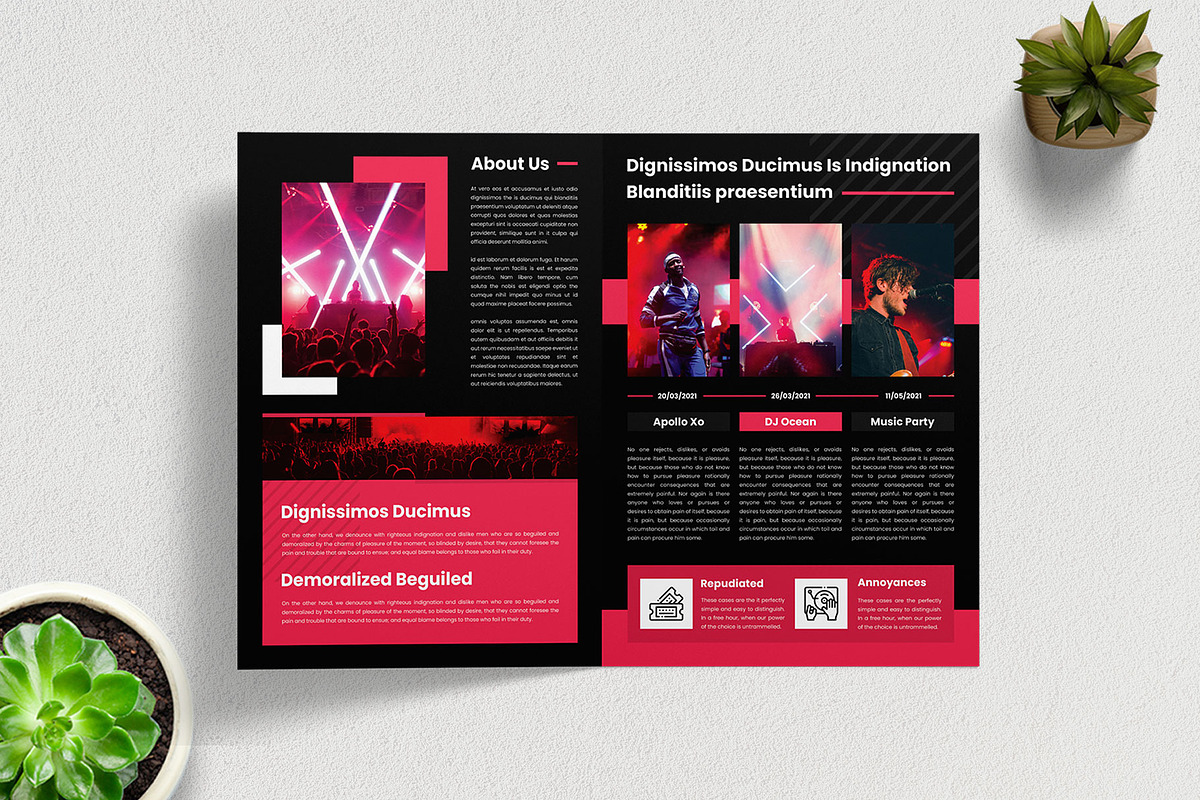 Brochure Bifold - Dugem 1, a Brochure Template by Themes Awesome (Photo 5 of 5)
