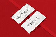 Shuneva – Modern Elegant Serif Font, a Serif Font by BrandSemut (Thumbnail 2 of 8)